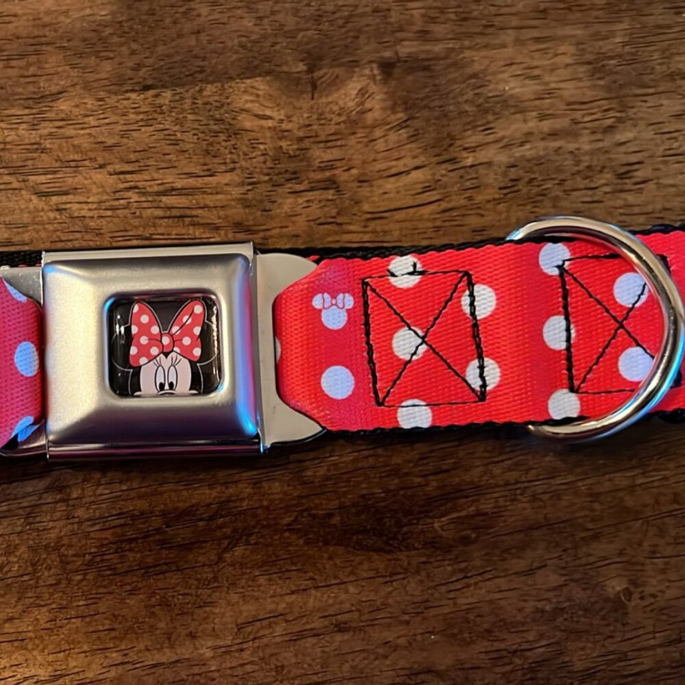 Buckle-Down Seatbelt Buckle Dog Collar - Minnie Mouse Polka Dot - 1.5" Wide